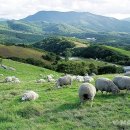 고성목장 이미지