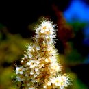 서천생태공원 이미지