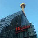 윈 야드(Wynyard) | 시드니 타워 관광 후기