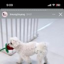 삼멍삼냥 이미지