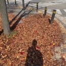 2021 11. #1 두번째 직장이 생기다 !