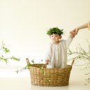 롤롤 | 창원 롤롤스튜디오 돌사진 돌촬영 후기｜감성 가족사진으로 추천