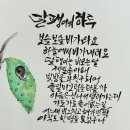 서예&캘리 이미지