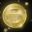 블랙제이(J) | [사용후기]제이숲 블랙제이 프로패셔널 클리닉 트리트먼트(ft.열파마로 쓰레기 된 머릿결)
