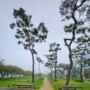 새샘마을 버스정류장3 이미지