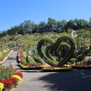 피나클랜드 이미지