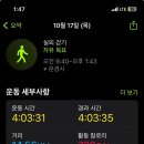 총각김밥 - 안산시 상록구 매화로3길 53 | 총각김밥