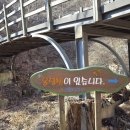 솔바람교 옹달샘 네이버블로그