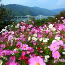 만개