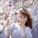 26-White's spring day 이미지