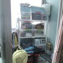 600004 | 여행 끝, 다시 인도 한국마담으로.