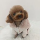 멍사무소 이미지