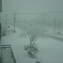 오리장식당 이미지