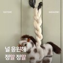 MOVE UP | 센스 있는 설 선물 1~7만원대 추천 | 붉은 말의 해 아이템 🐎