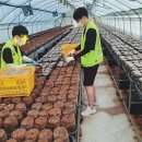 가온농장2 이미지