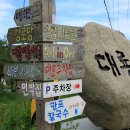 대룡마을 티스토리