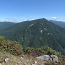 공설운동장(1409) 이미지