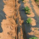 승은농장 이미지