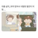 씨유안면백사장점 | 추천(성산일출봉무료코스/우도 짐보관/우도버스투어/서빈백사/하고수동/비양도/검멀레해수욕장/우도땅콩...