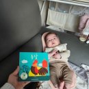 채이농장 이미지