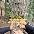 새보성식당 | 나는 잠시 보성사람 1일차 메모리 &amp;멜로디마을 관계인구맺기 프로그램, 보성 아이와 갈만한 곳