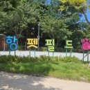 펫필드