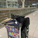 한신건강원 | DEC 01_ 결혼 후 일상