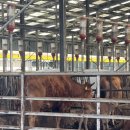 진웅농장 이미지