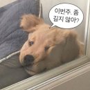 (주)사조랜더텍 | 9월 3주 / 이렇게 좋은 음악과 그 안에 사람들