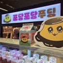 포당포당 이미지