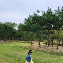 소산서원 유아숲체험원 이미지