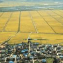 월곡4리 이미지