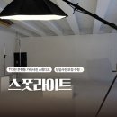 신흥로 은행나무테마거리 | 대전 은행동 가족사진 스폿라이트 은행점｜당일 보정·원본까지 받은 후기