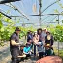 김천시문화예술회관 이미지