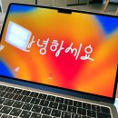 노리댕댕 이미지