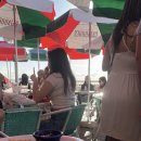 오아시스카폐(OASIS CAFE) 네이버블로그