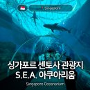 E-S교육 | 싱가포르 센토사 오셔너리움 S.E.A. 아쿠아리움 관람 후기 NOL 예약