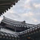종로-현장-종로-세-180 | 서울 종로 궁궐투어, 아이랑 야간 창경궁 걷는다는 게 이렇게 감동일 줄이야