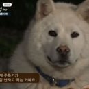 화랑대곱창