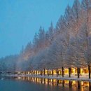 광산구-121 이미지