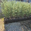 해창농장 이미지