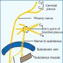 압구정한의원 이미지