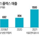 플렉스 티스토리