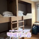 백패커스홈 | [내돈내산]서귀포 파티게스트하우스 백패커스홈 솔직(비추)후기