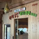장성편백키즈펜션 | 장성 화덕피자 맛집 ! 부모님 모시고 가기 너무좋은 토루 화덕피자!