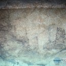 금지면 금정마을 이미지