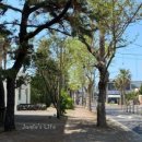 함덕바람집 이미지