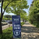 로맨틱데이 - 강남구 | 2026 서울 히어로 록 페스티벌 콘서트 후기 카디 데이브레이크 로맨틱펀치 절었다