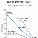 나이스바디