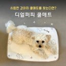 쿨 퍼피 | 강아지 쿨매트 추천｜3대장 매트 비교 / 디얼퍼피 듀라론 쿨매트 내돈내산 솔직후기